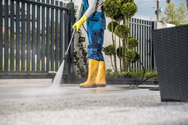 Best Deck Cleaning Services  in Lovington, NM